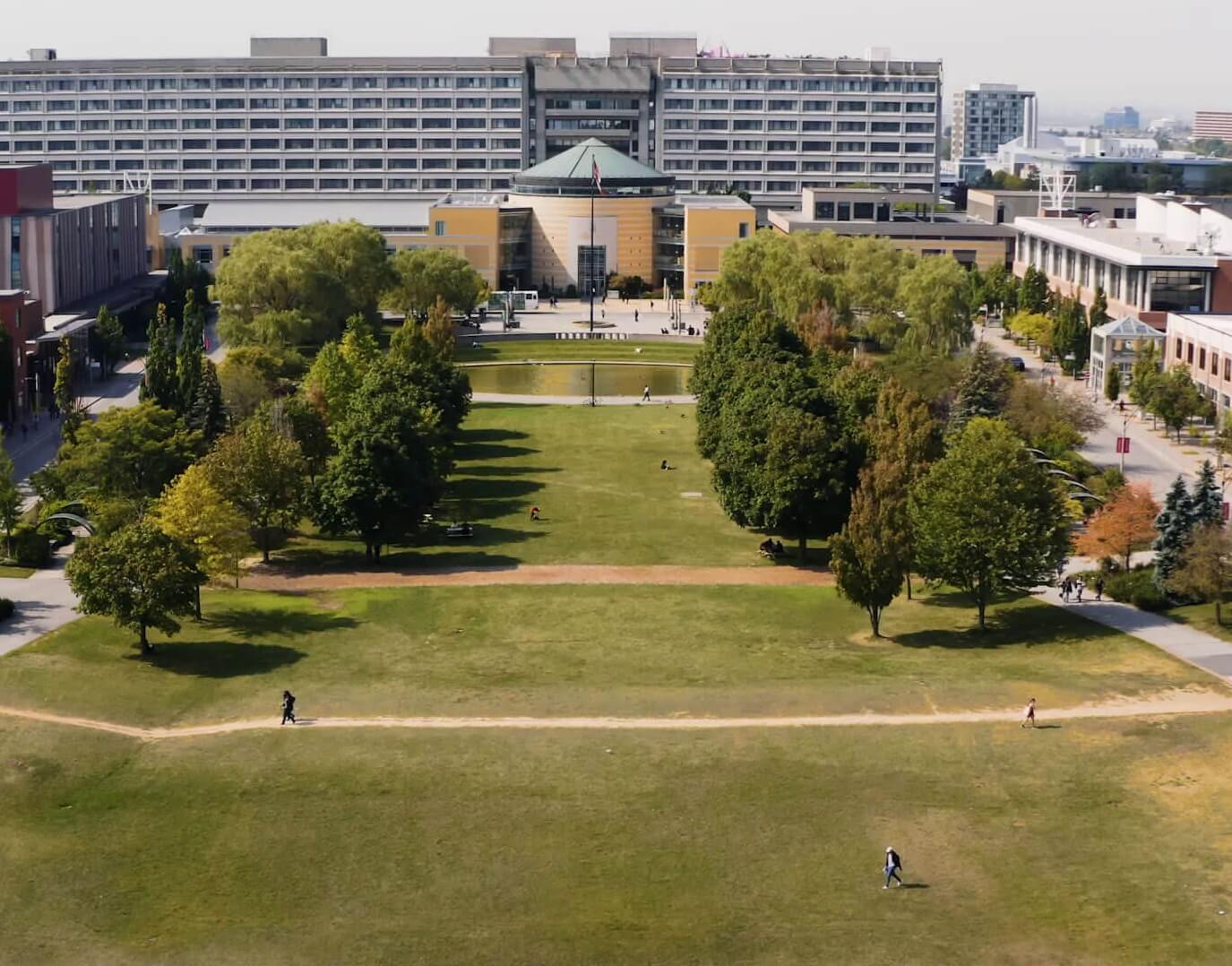 York University